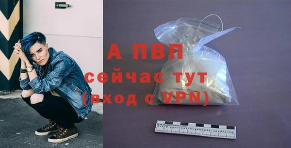 сатива Медногорск