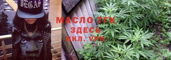 сатива Медногорск