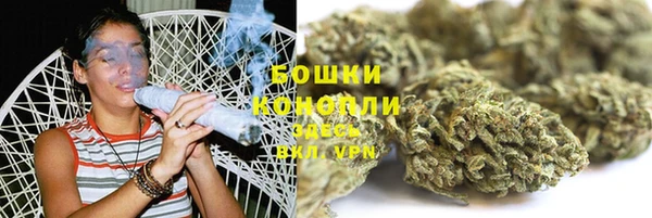 сатива Медногорск