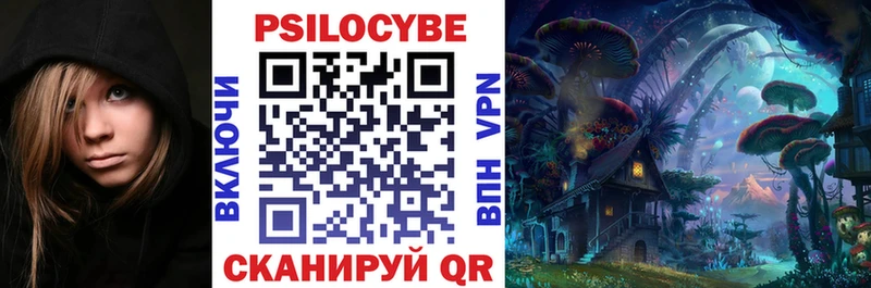 где найти   Армавир  Псилоцибиновые грибы Magic Shrooms 