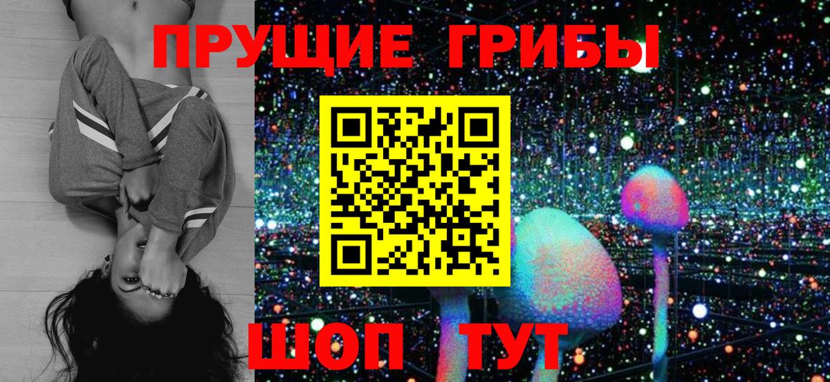 Псилоцибиновые грибы MAGIC MUSHROOMS  где найти наркотики  Армавир 