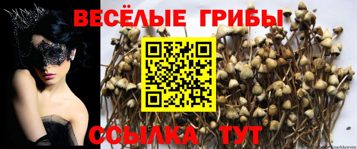 Галлюциногенные грибы MAGIC MUSHROOMS  Вход с VPN  Галлюциногенные грибы мухоморы  Армавир 